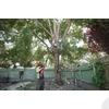 Kép 3/9 - MILWAUKEE M18 FUEL teleszkópos magassági fűrész 30 cm -  M18 FTPS30-0 - 4933480868