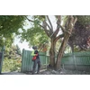 Kép 7/9 - MILWAUKEE M18 FUEL teleszkópos magassági fűrész 30 cm -  M18 FTPS30-0 - 4933480868