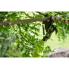 Kép 5/8 - RYOBI OLP1832BX - 18 V-os, ágvágó, 250 Nm, 85 cm, akku és töltő nélkül