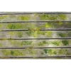 Kép 10/11 - RYOBI RY18PCB-140 18V járólap és térkő tisztítő, seprű, súroló kefével (1x4.0Ah)