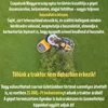 Kép 2/5 - SPECIAL 384 M fűgyűjtős fűnyíró traktor - STIGA gyártmány